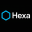 HexaSoftware website icon